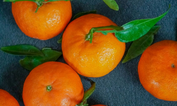 Врач Зухра Павлова рассказала, сколько мандаринов можно есть в день